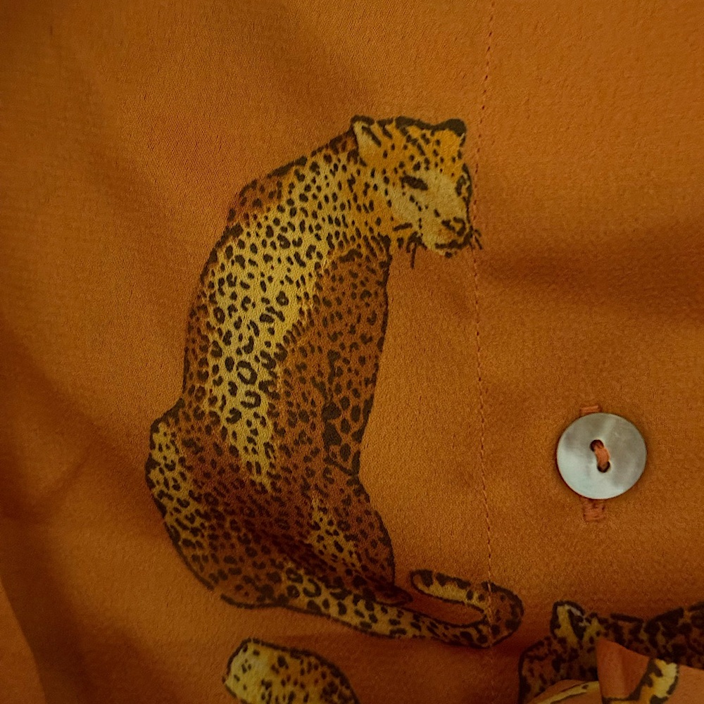 Modern Grace Leopard dress.